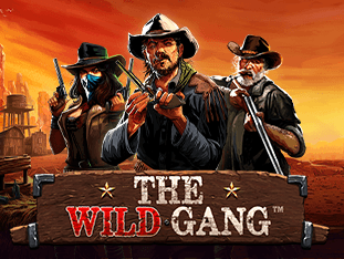 The Wild Gang screenshot